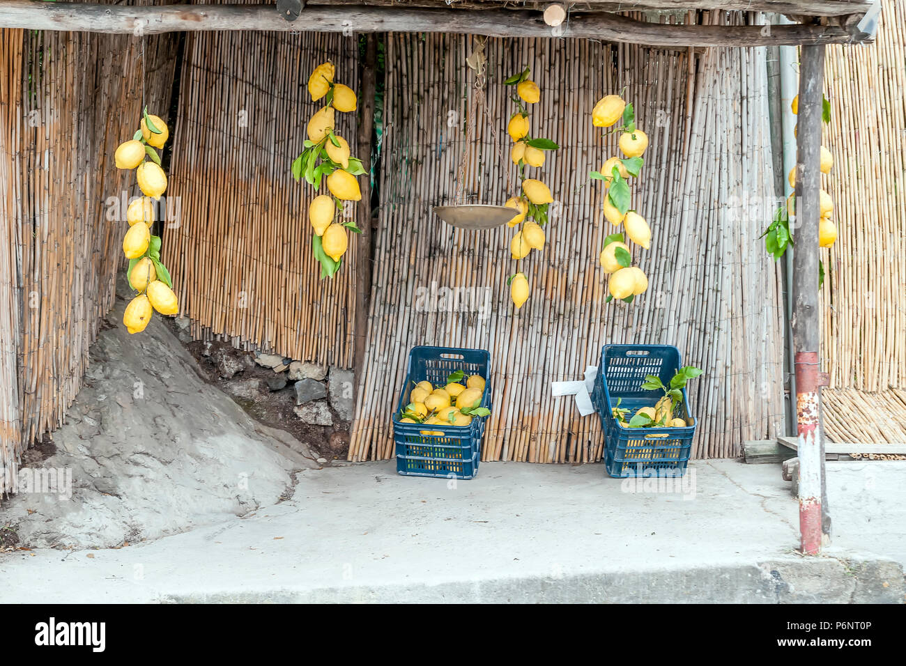 Typical stand of large lemons for sale on the Amalfi Coast, Campania, Italy Stock Photo