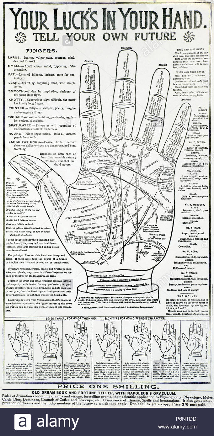 Palmology Chart