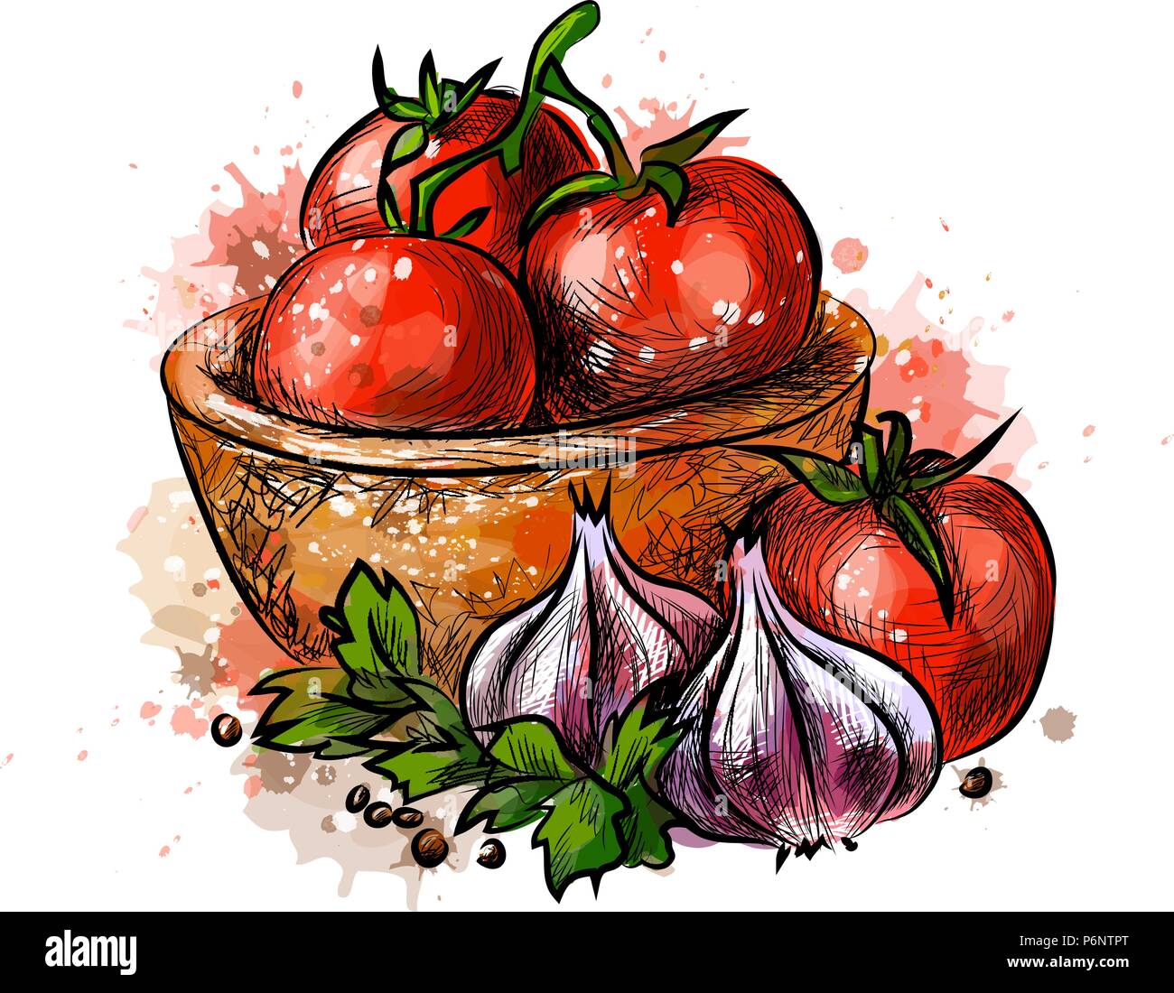 A perfect red tomato Stock Vector Images Alamy