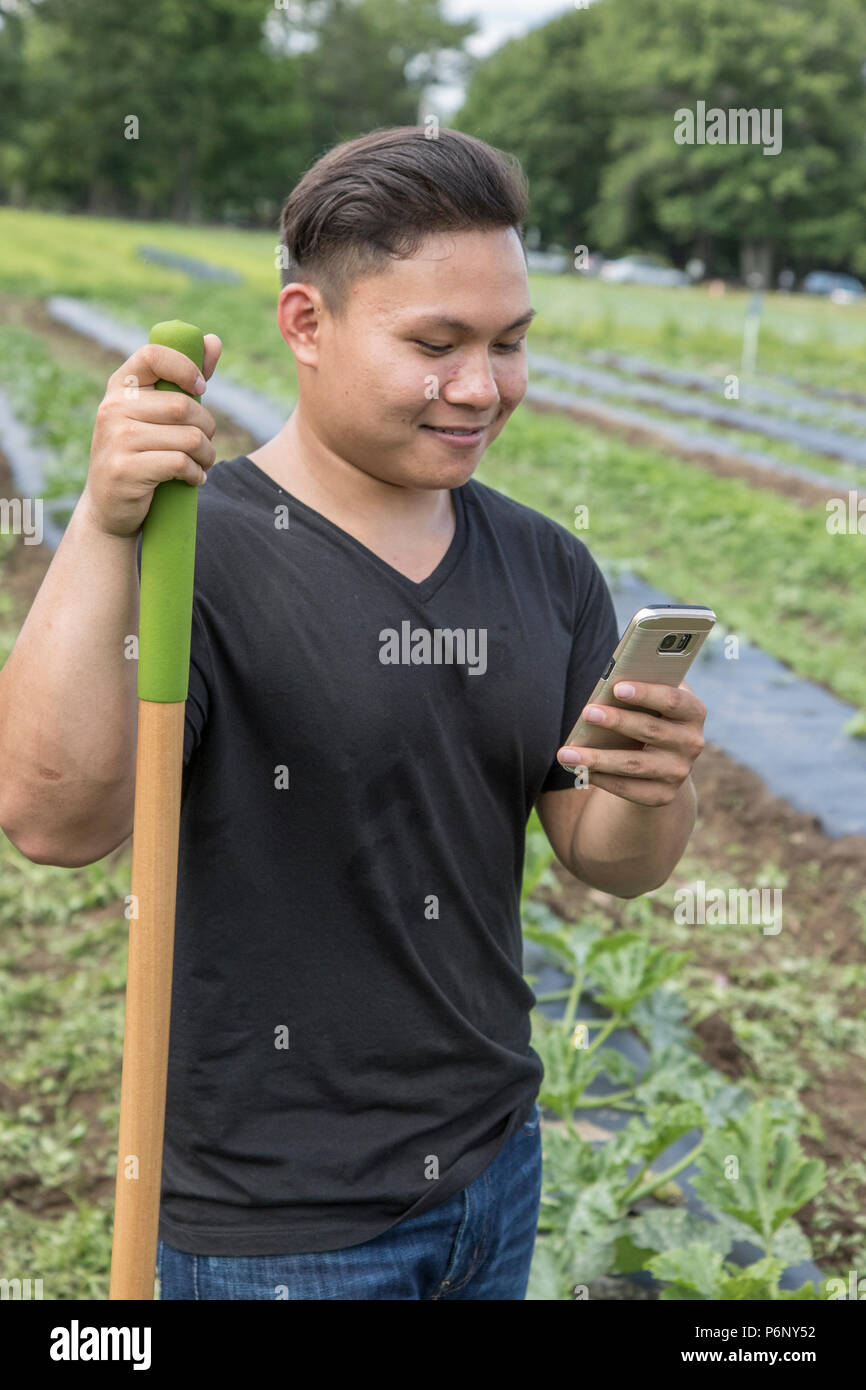 Man taking a break from farm work to check his mobile phone Stock Photo