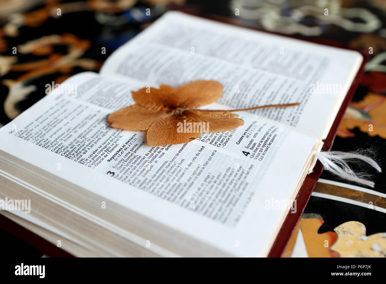 Open bible with a dry leave.  Switzerland. Stock Photo