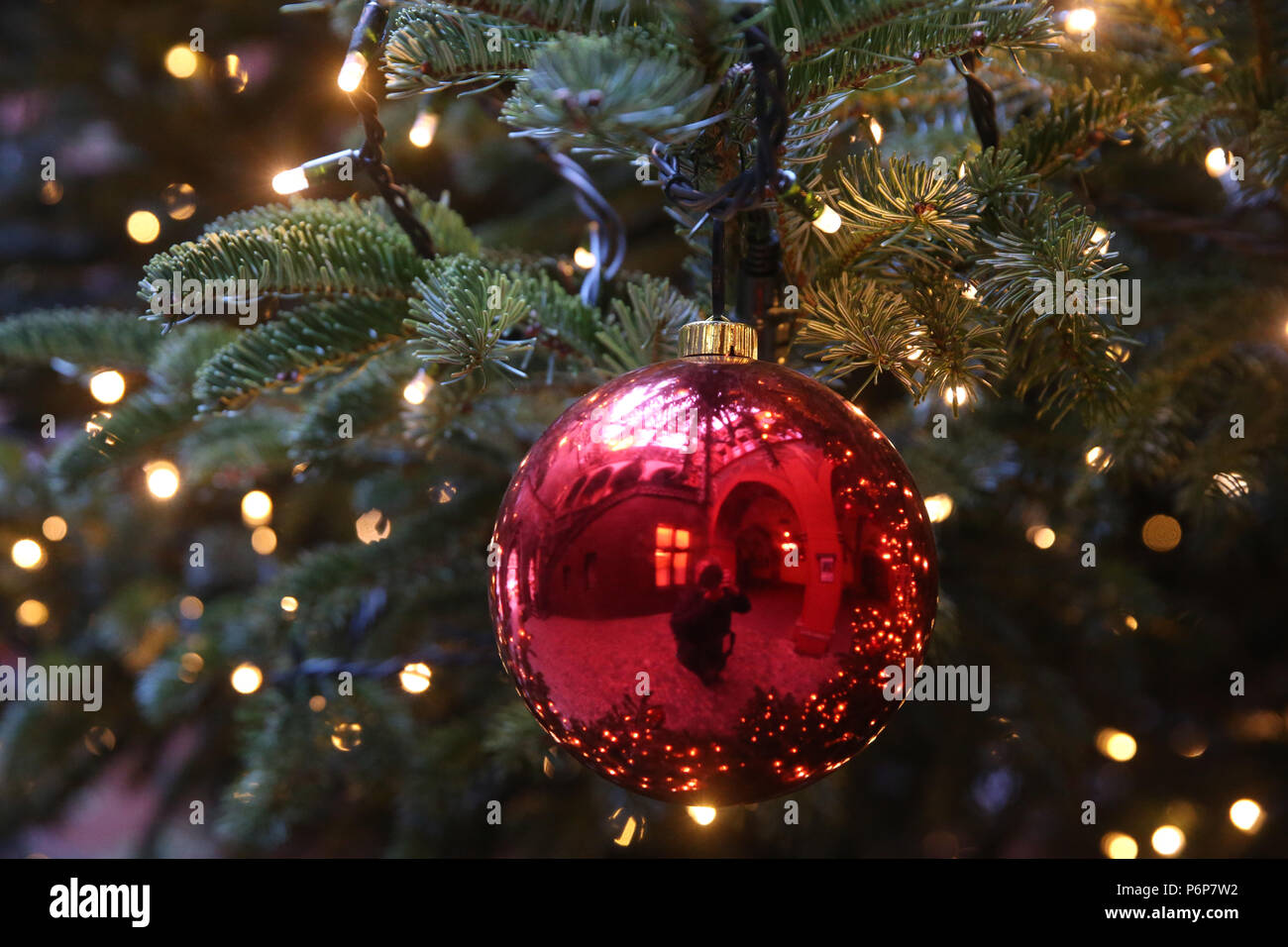 Close-up of Christmas ornament on tree.  Basel. Switzerland. Stock Photo