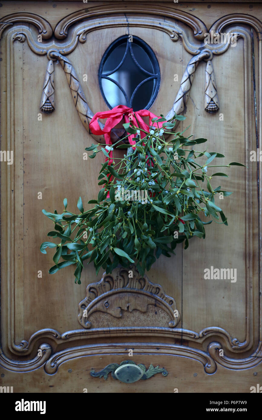 Christmas decoration. Bunch of mistletoe (Viscum album) hanging on wooden door.  Basel. Switzerland. Stock Photo