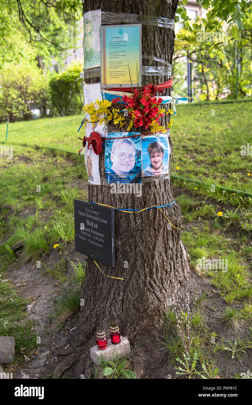 Memorial to a killed Donbass war Ukrainian soldier in Kiev. Ukraine. Stock Photo