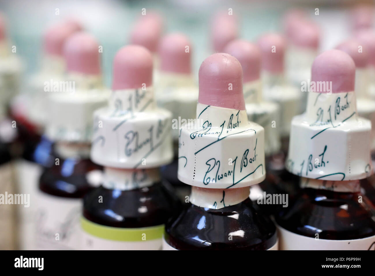 Pharmacy.  Bach : original flower essences.  France. Stock Photo