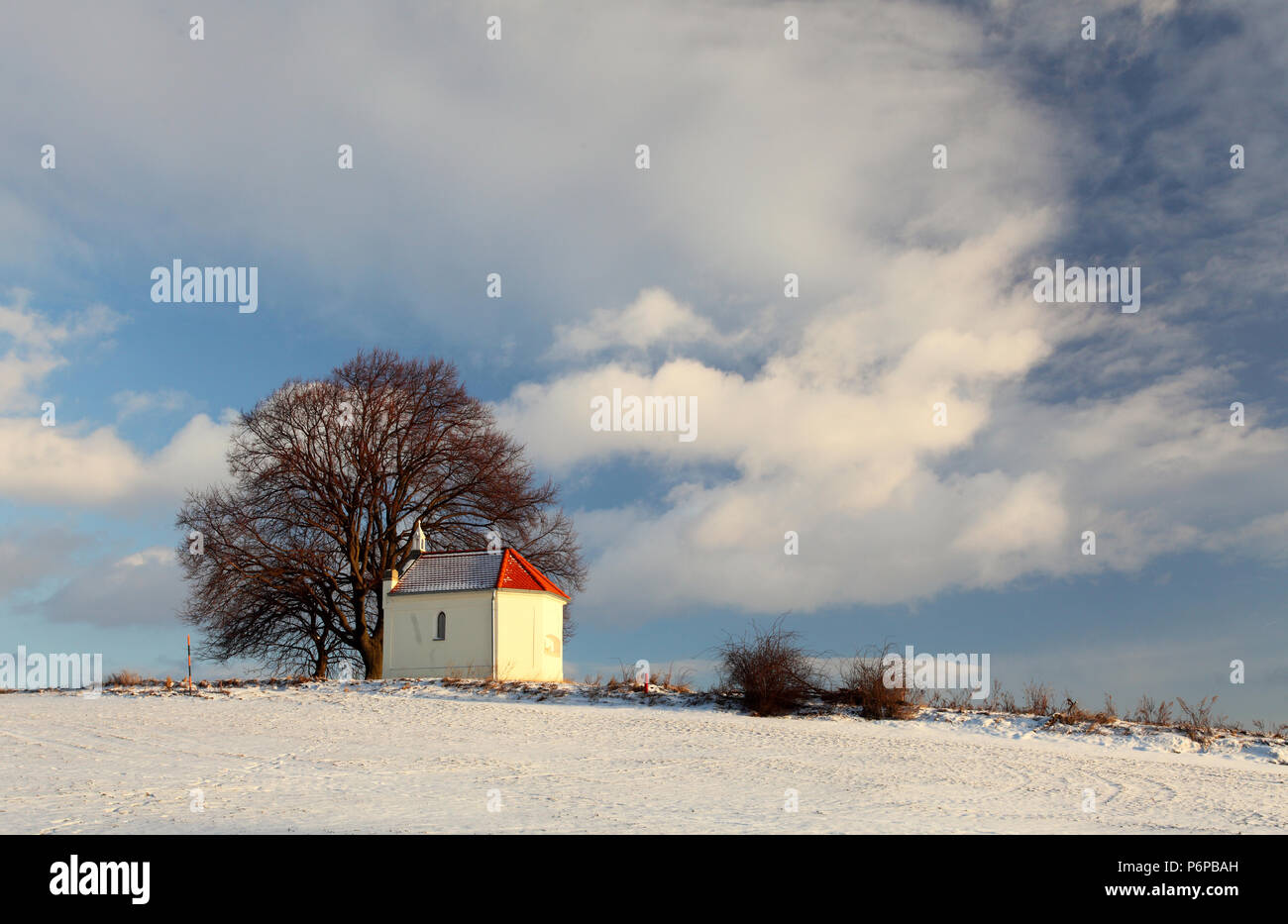 Winter sunset on field Stock Photo