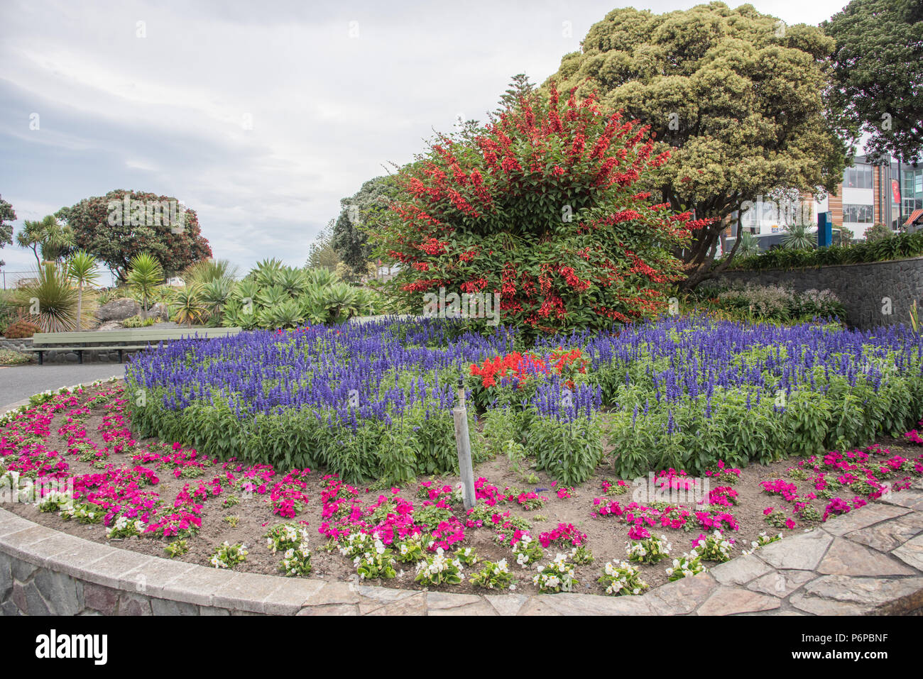 Marine Parade Gardens with colourful flowers on the foreshore of Napier