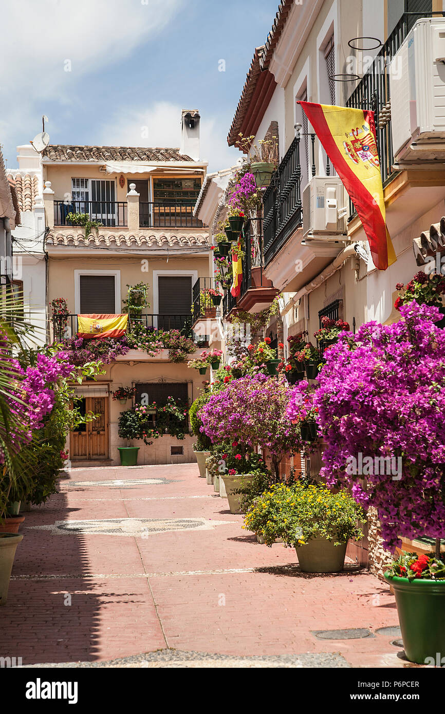 floral display & white washed housing in Estepona, Spain Stock Photo
