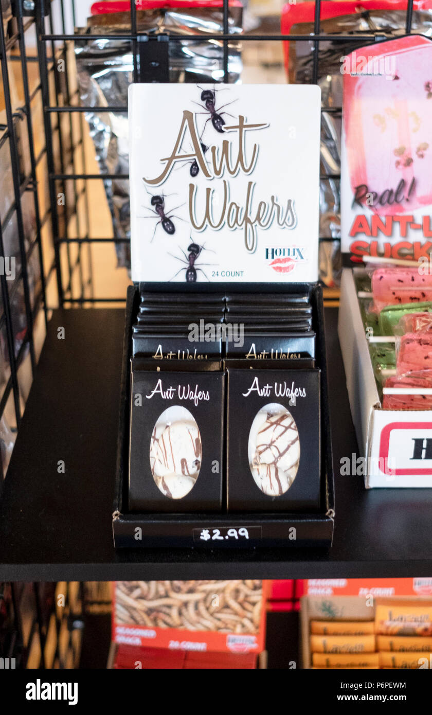 Ant wafers hires stock photography and images Alamy