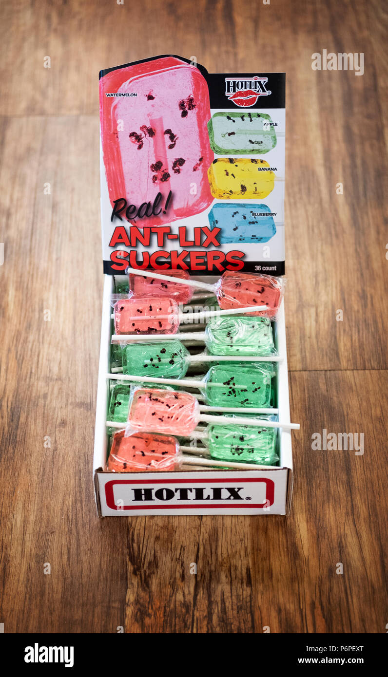 Ant infused lollipops for sale at the BEEF JERKY OUTLET STORE in West  Yarmouth, MA Stock Photo - Alamy