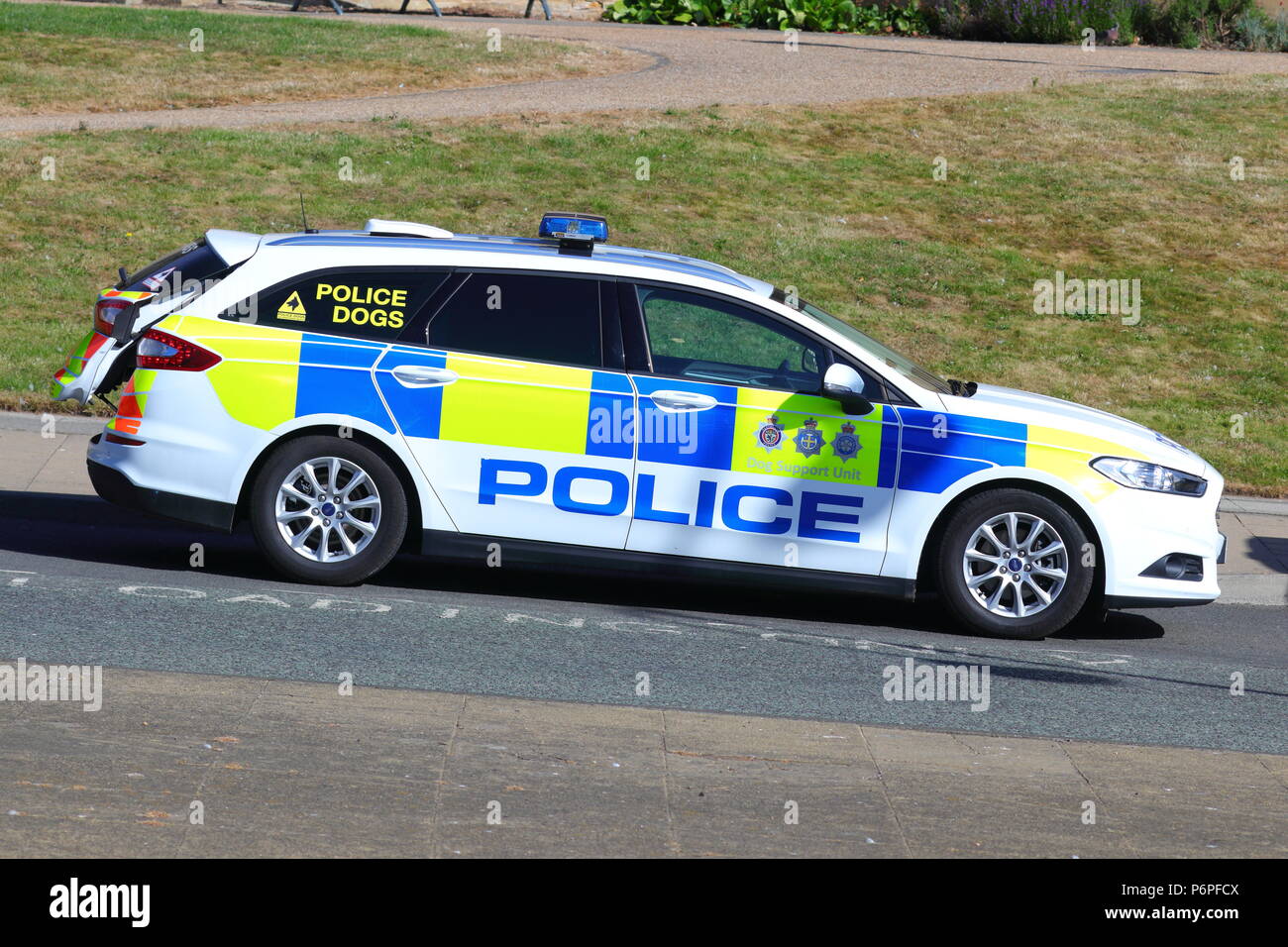 Police Dog Unit attending Armed Forces Day in Scarborough , North Yorkshire Stock Photo