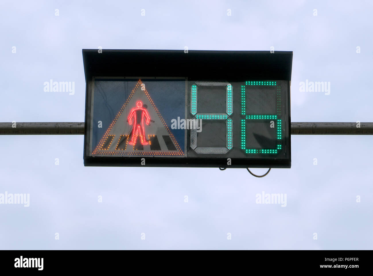 Green light numbers count down for stop pedestrian on crosswalk. City
