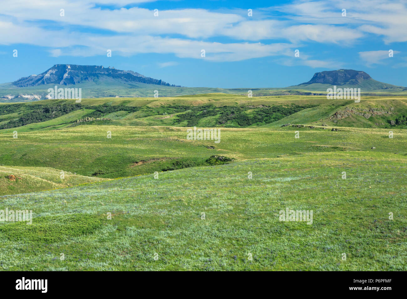 Tourism geraldine hires stock photography and images Alamy