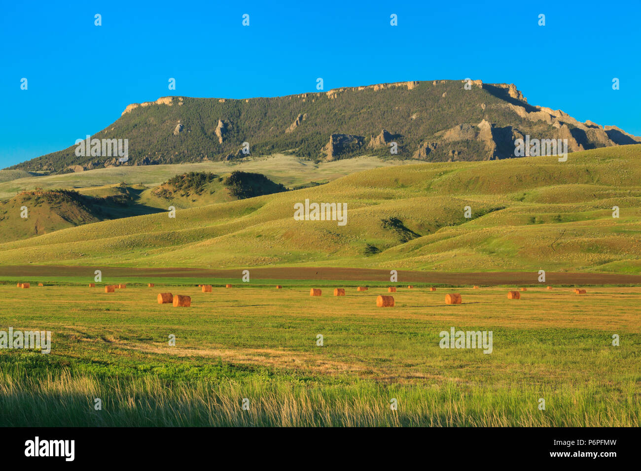 round hay bales below square butte near geraldine, montana Stock Photo Alamy