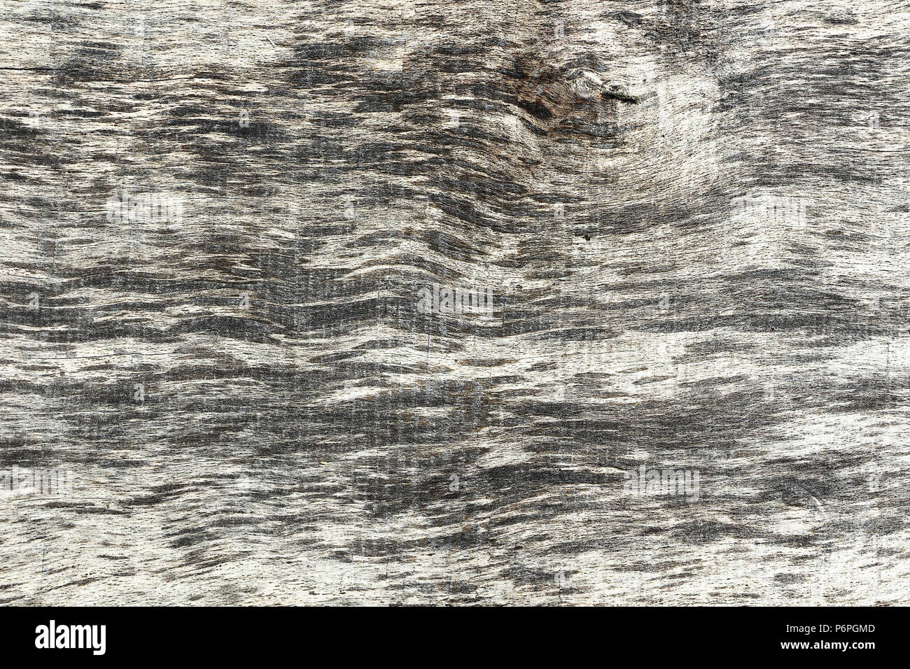 weathered elm wooden texture ready for your design Stock Photo