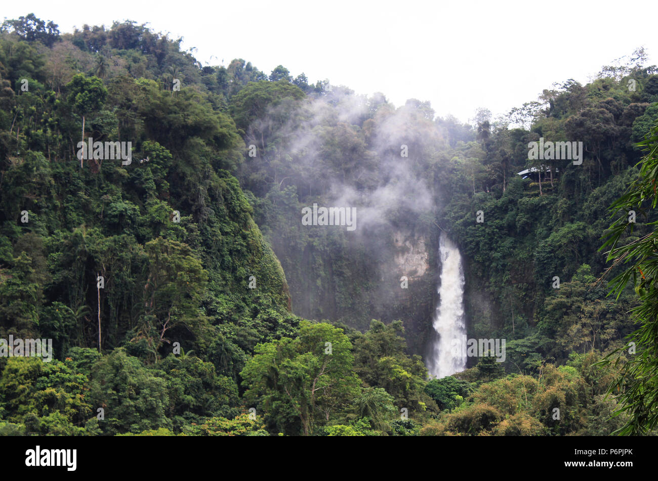 Beautiful Waterfalls in the Middle of the Forest Stock Photo - Alamy