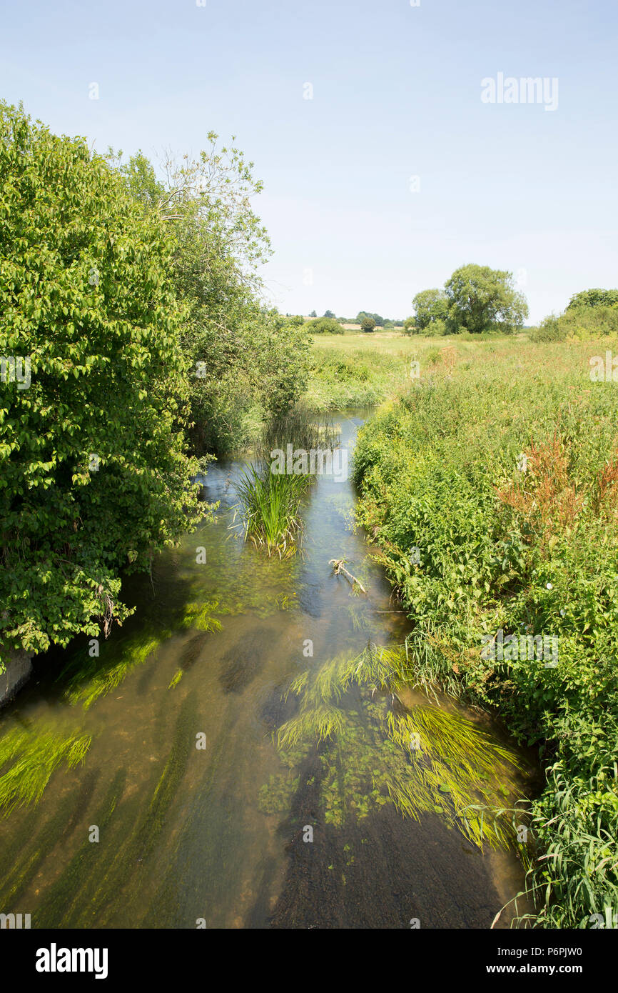 A view upstream of the Dorset Stour River from Trill Bridge near Gillingham showing water plants