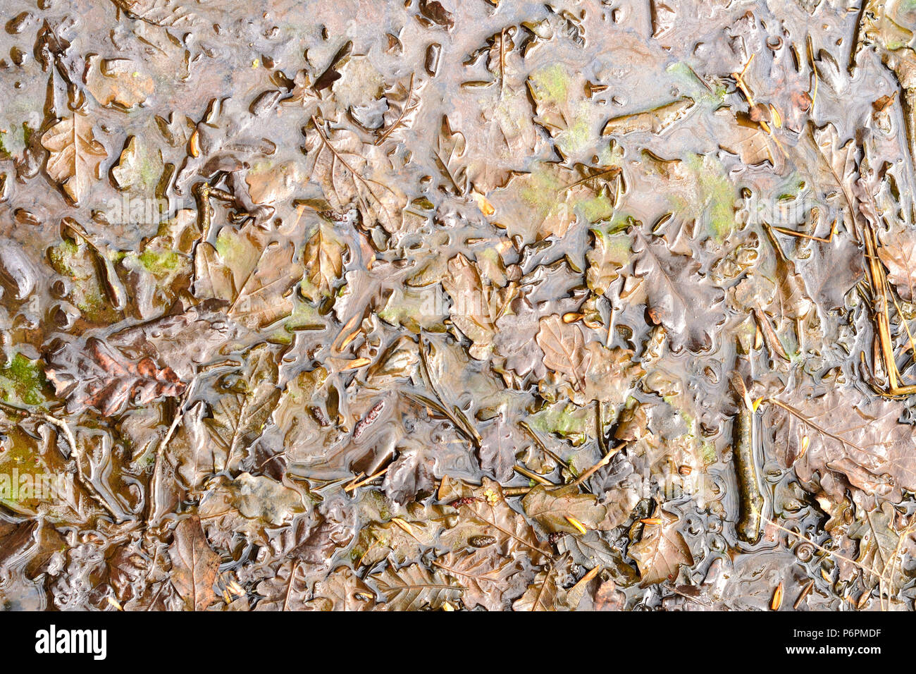 Simple photo of mirror pond Stock Photo Alamy