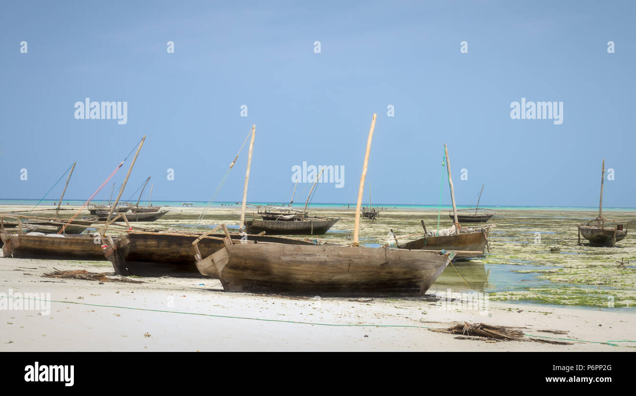 zanzibar fishing dhow traditional sailing , fishing boats stranded at low tide on the coastline of Zanzibar Stock Photo