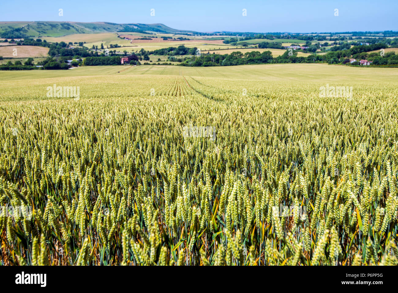 View towards Firle Beacon from Jevington in East Sussex, England, showing a beautiful farming landscape. Stock Photo