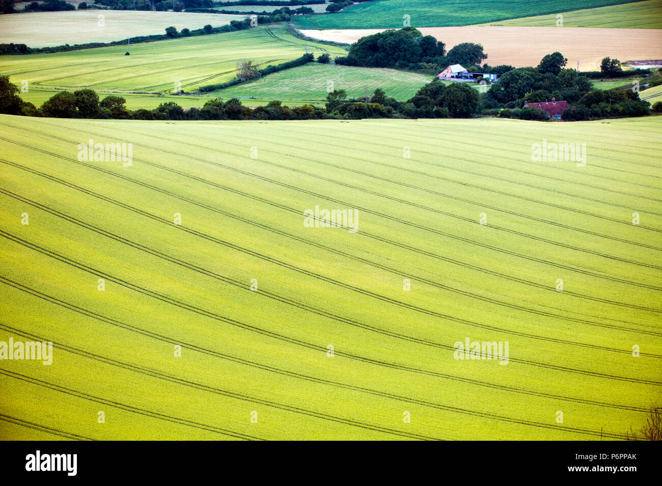 Beautifully prepared farmland below Firle Beacon in East Sussex, England Stock Photo