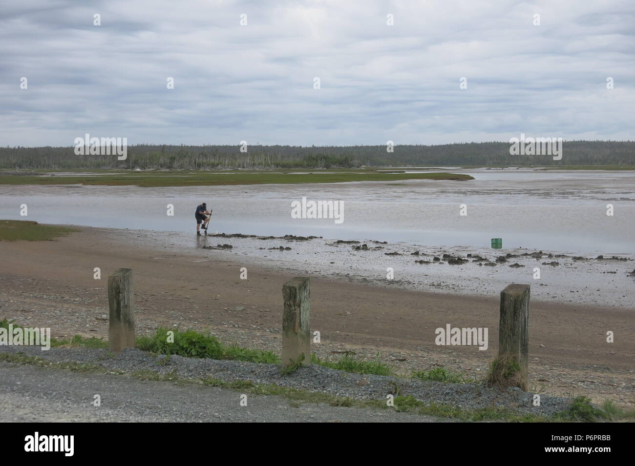 View of a man digging for clams in the muddy shallows at Martinique