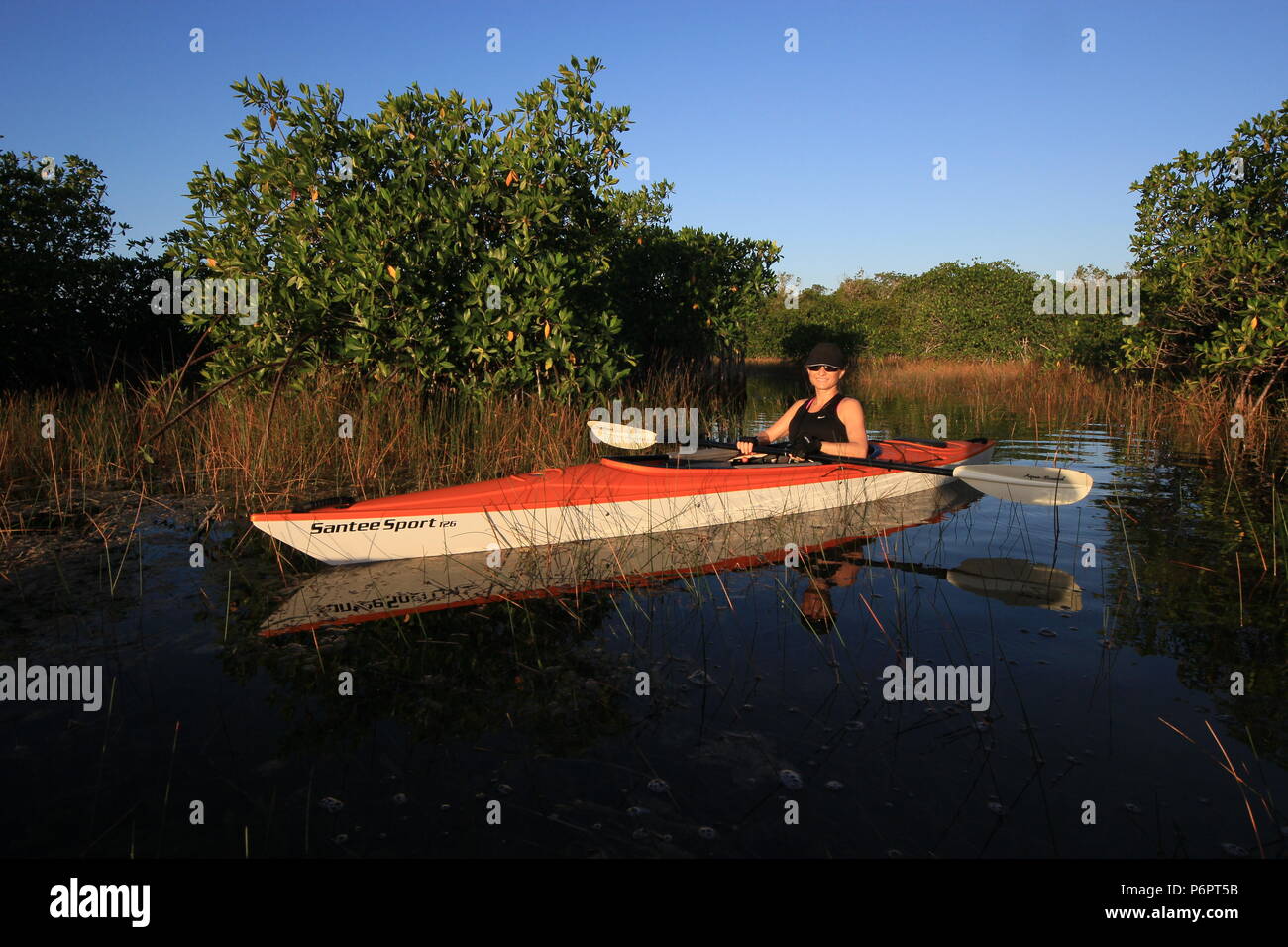 Woman kayaking in the mangroves and reeds of the Nine Mile Pond Canoe