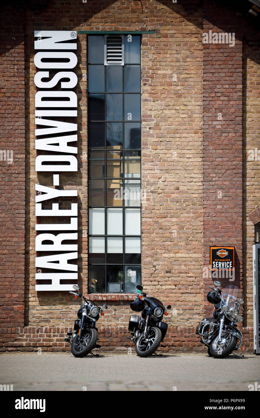 harley davidson official store