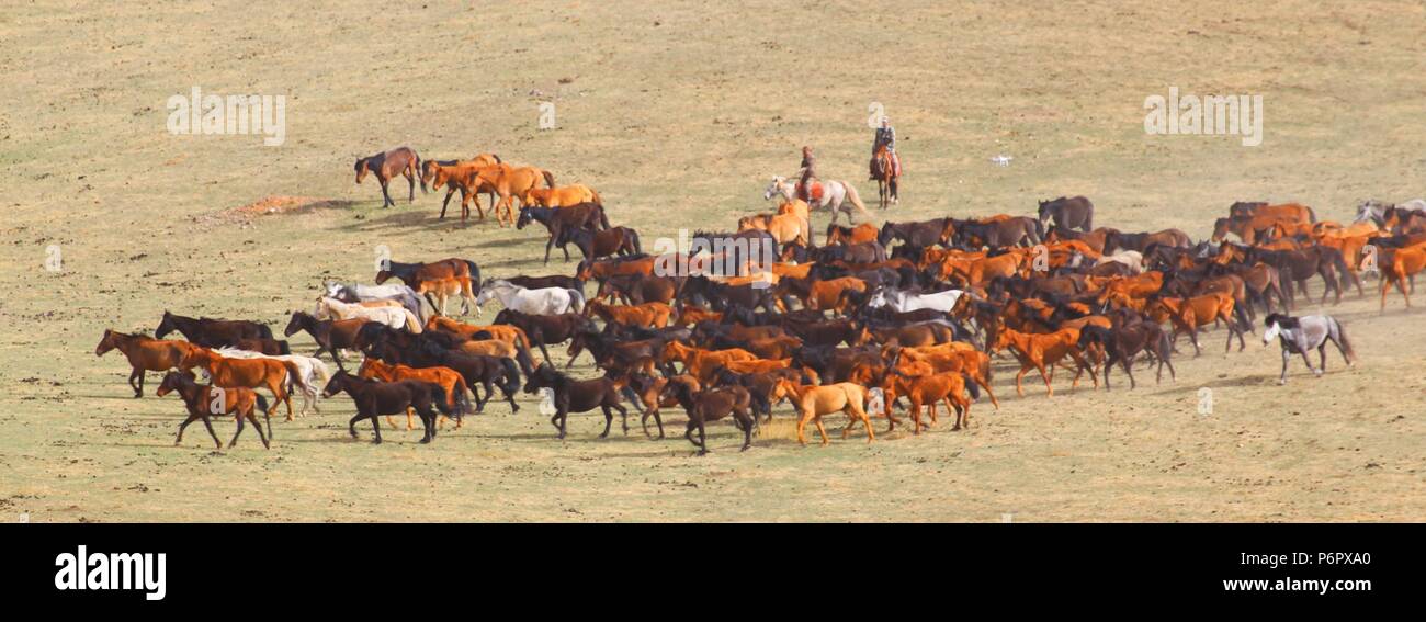 Zhangye, Zhangye, China. 2nd July, 2018. Zhangye, CHINAHorses at