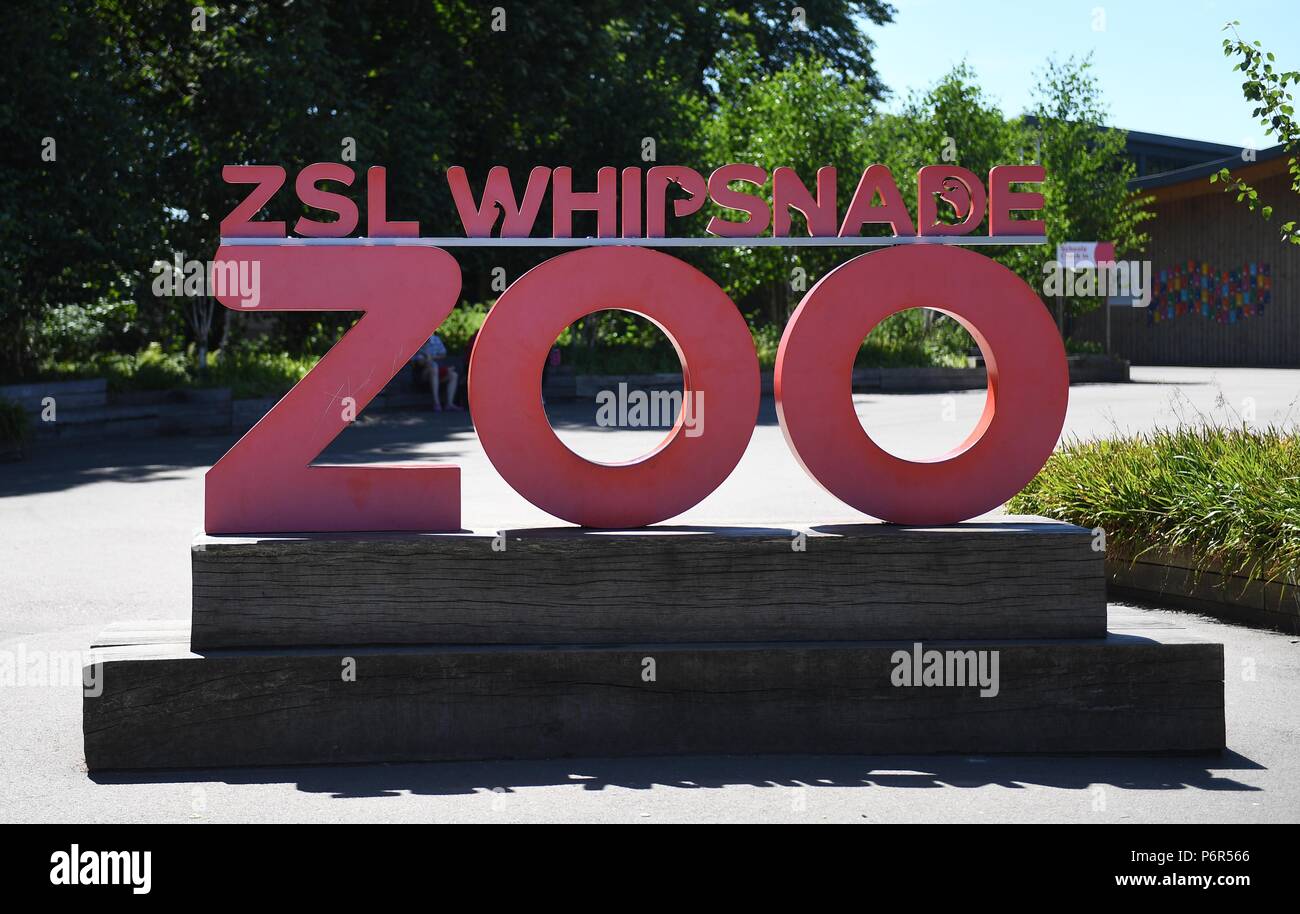 London zoo entrance hires stock photography and images Alamy