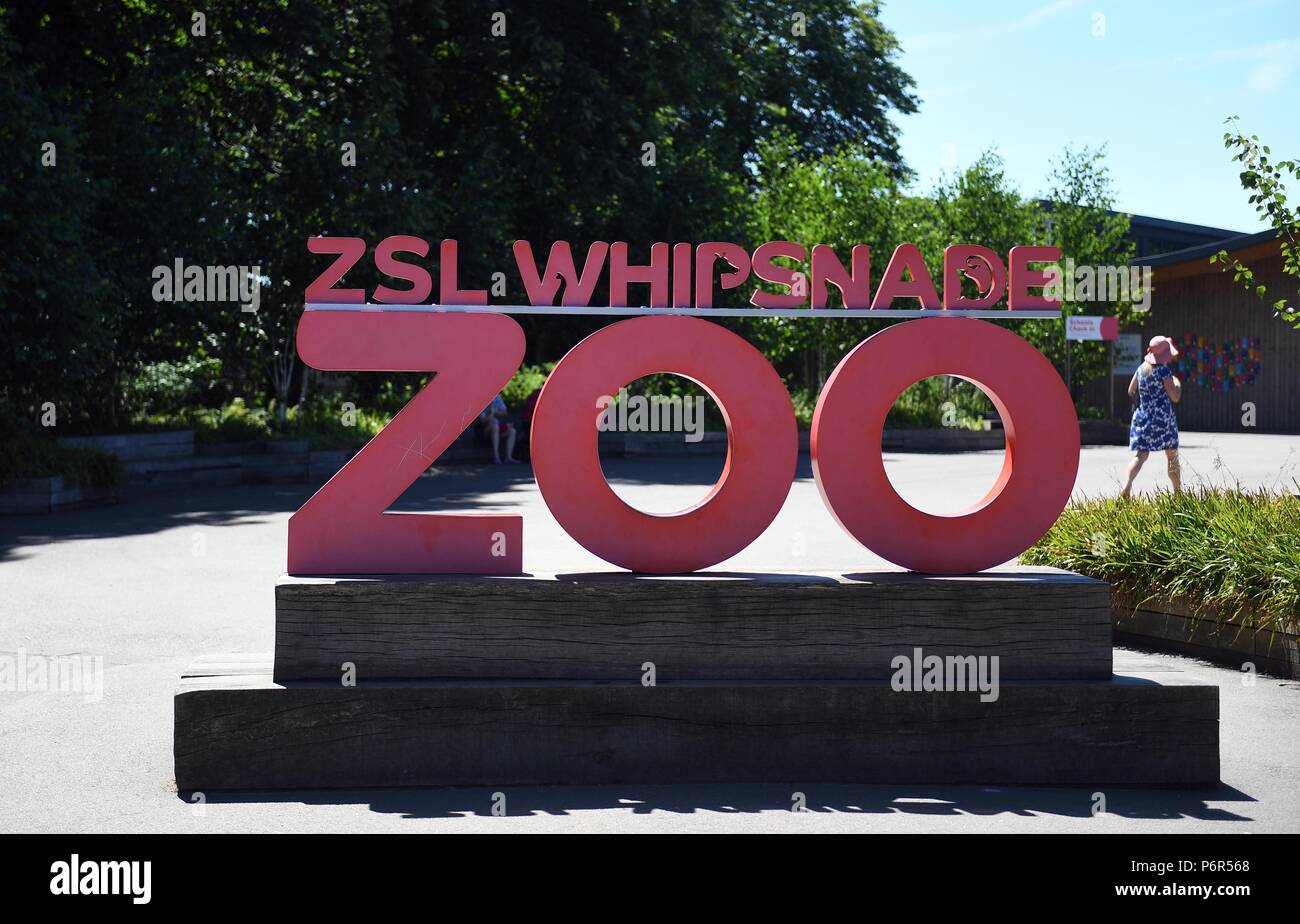 London zoo entrance hires stock photography and images Alamy