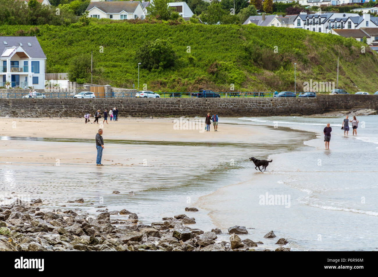 Stunning places to walk a dog hires stock photography and images Alamy