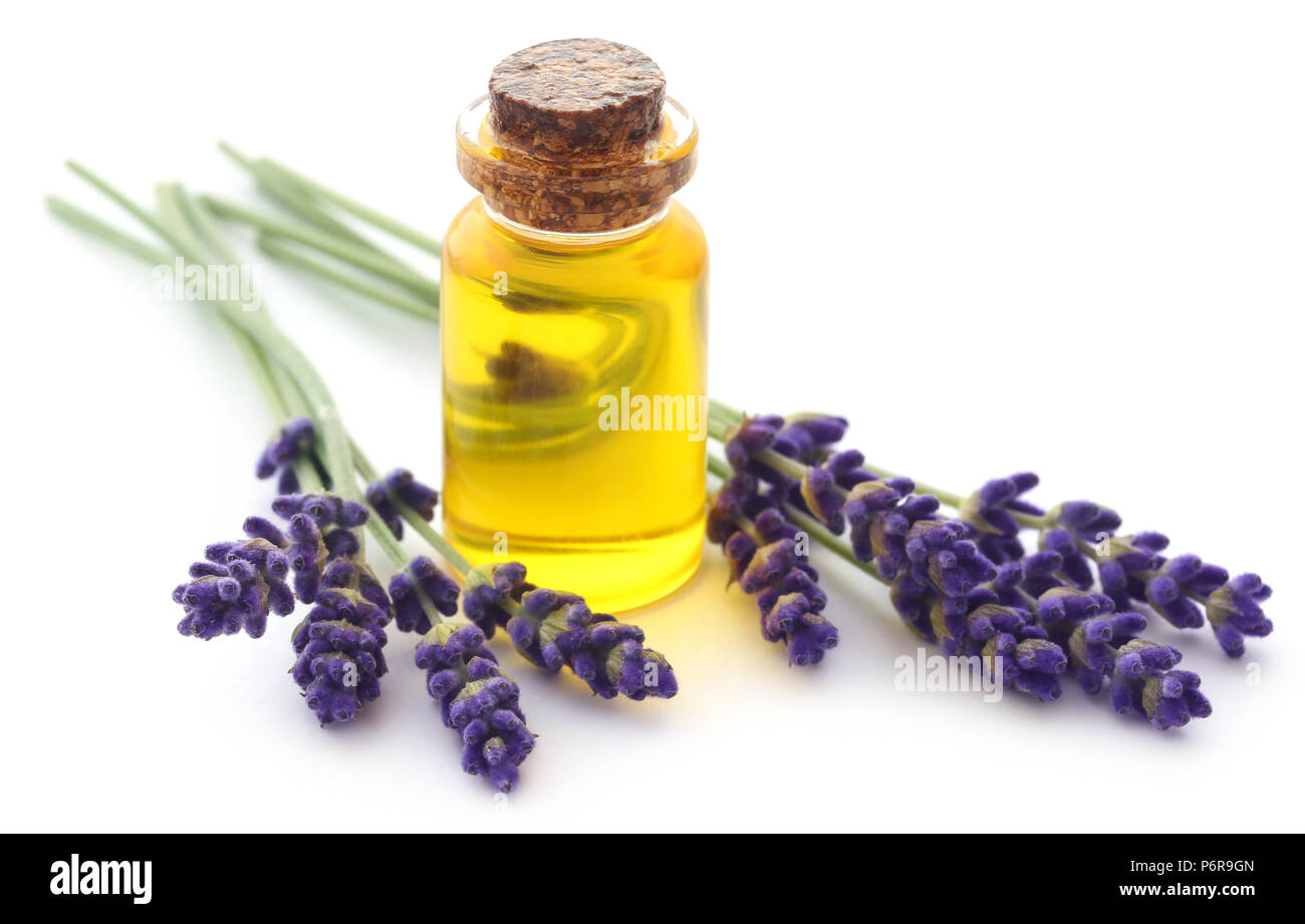 Lavender oil with flower over white background Stock Photo