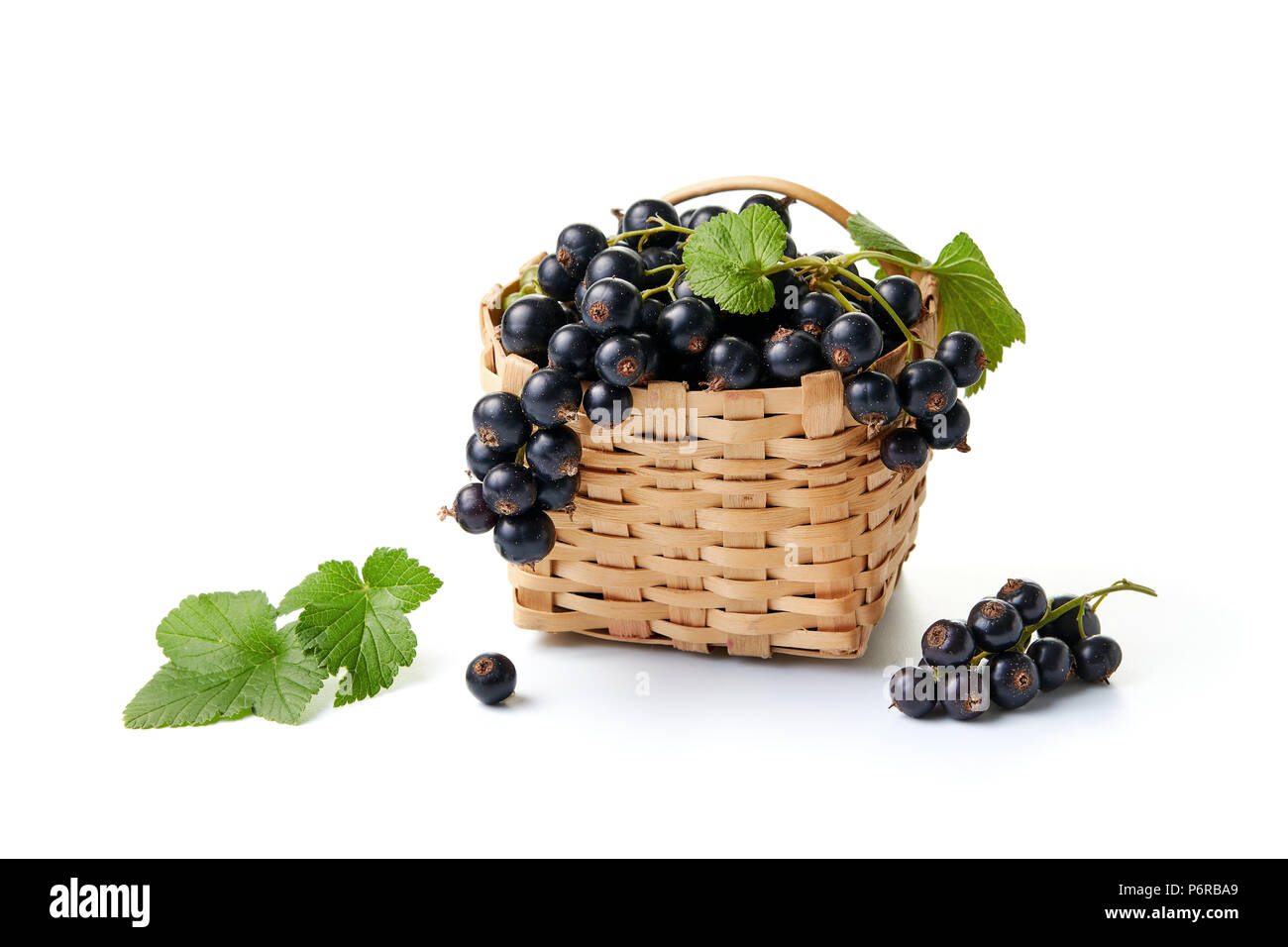 Blackcurrants in and beside a small wicker basket on white background. Stock Photo