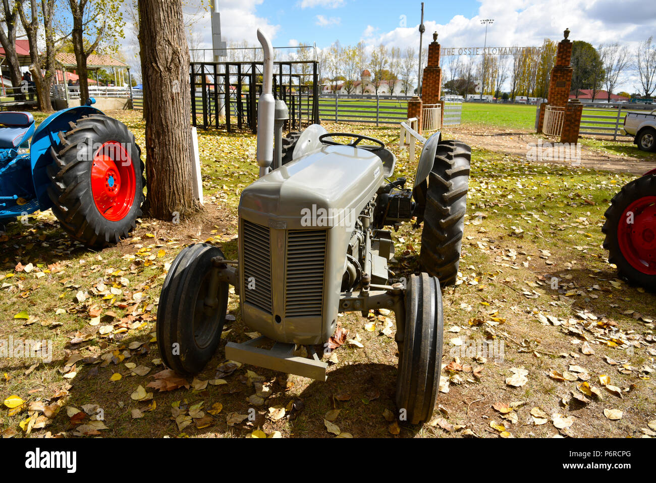 ferguson TE20 known as the 'little grey fergie', known as the 'grey menace as so many were sold across the world, built between 1946 and 1956 Stock Photo