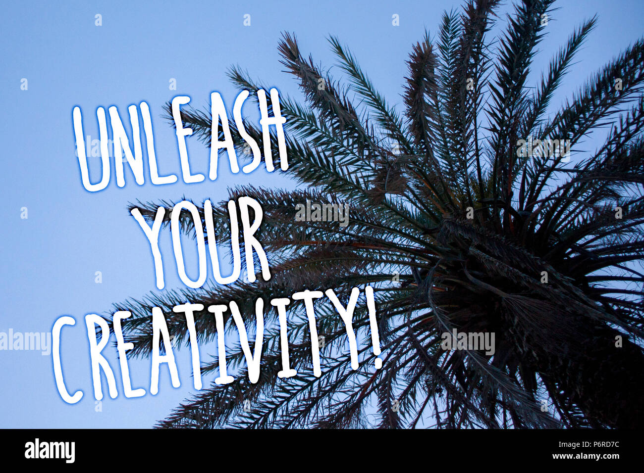 Handwriting text Unleash Your Creativity Call. Concept meaning Develop Personal Intelligence Wittiness Wisdom Tall palm tree blue sky ideas messages t Stock Photo