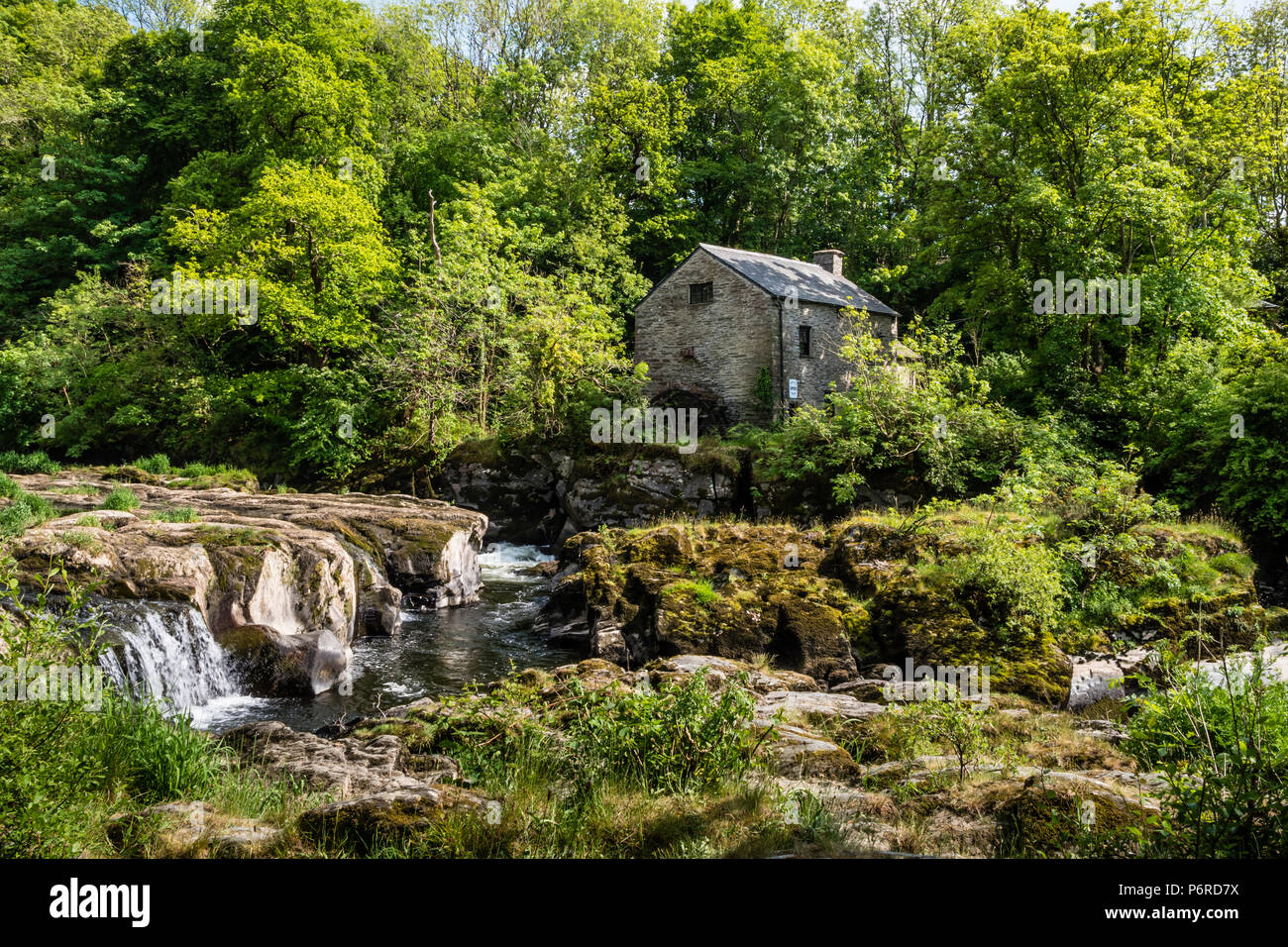Salmon Leap Stock Photos & Salmon Leap Stock Images Alamy