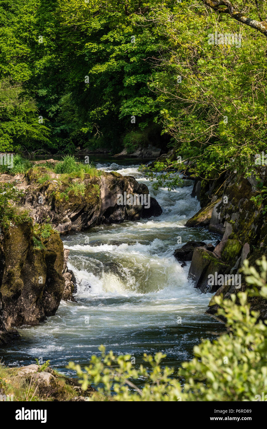 Cenarth Waterfalls Carmarthenshire Wales Stock Photo