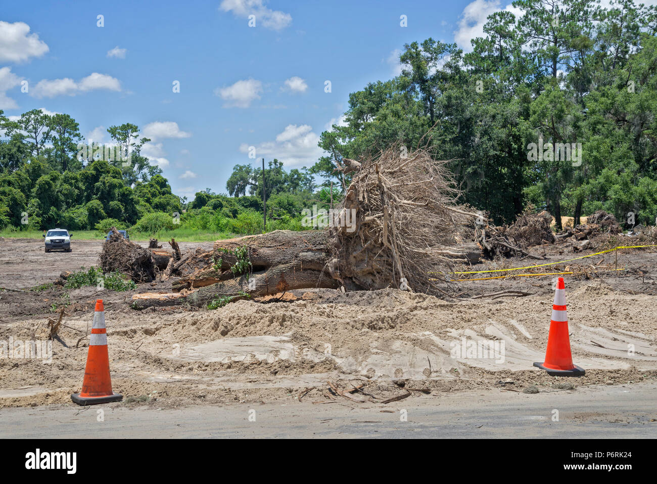 Clearing land for new construction in Gainesville, Florida. Stock Photo