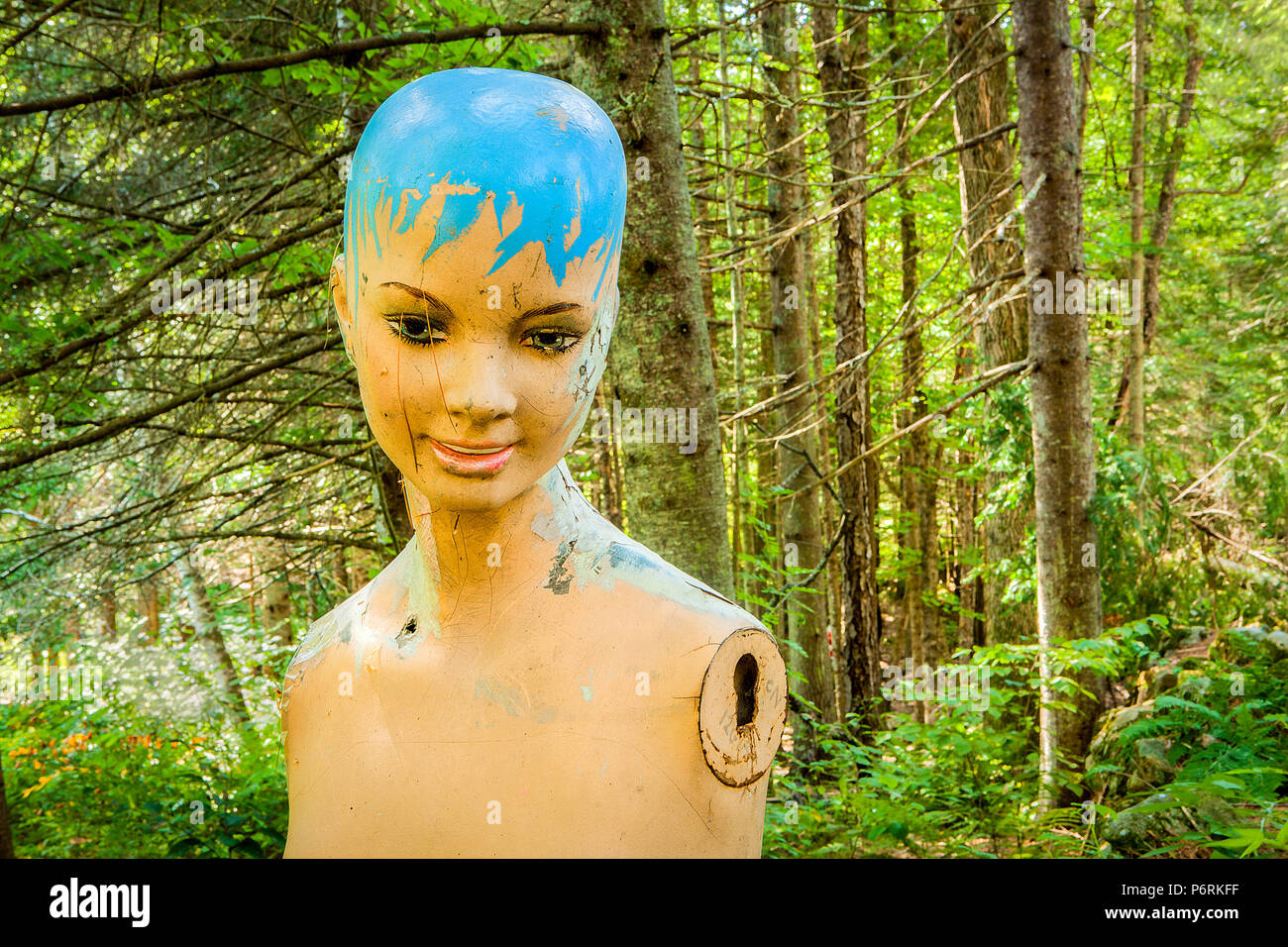 A damaged, painted, abandoned mannequin stands outdoors in a forest. Stock Photo