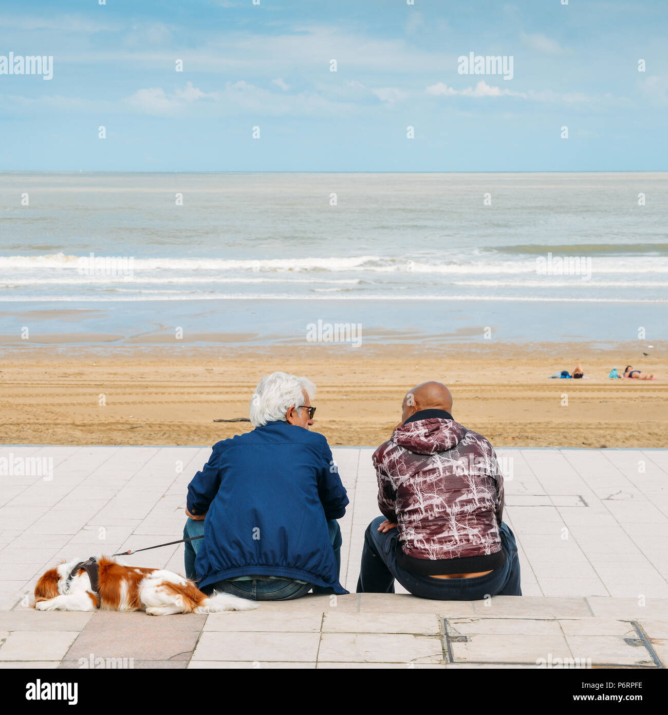 Two men and a dog relax at the Grande Plage beach in Biarritz, Aquitaine, France Stock Photo