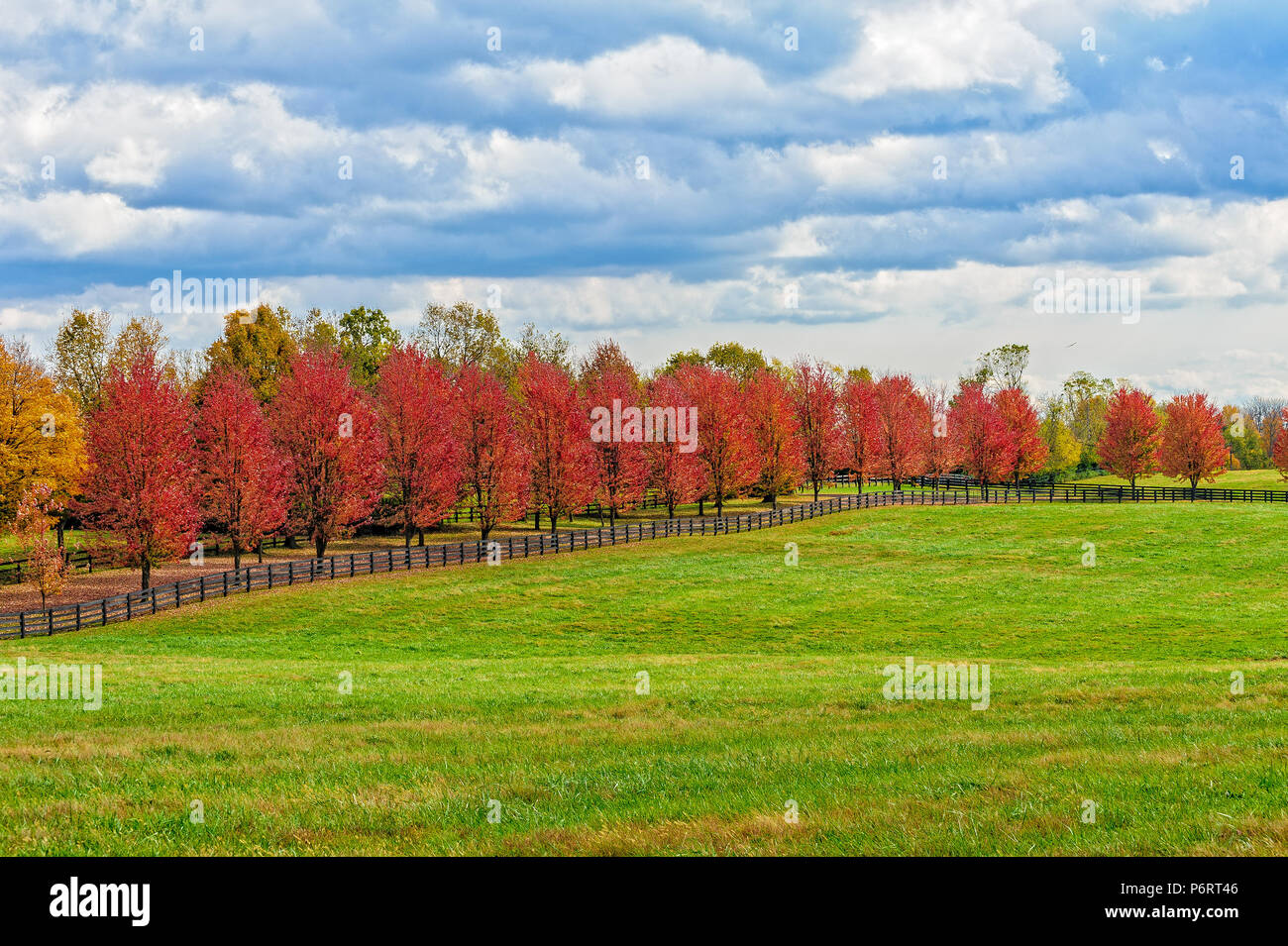 Autumn season Stock Photo