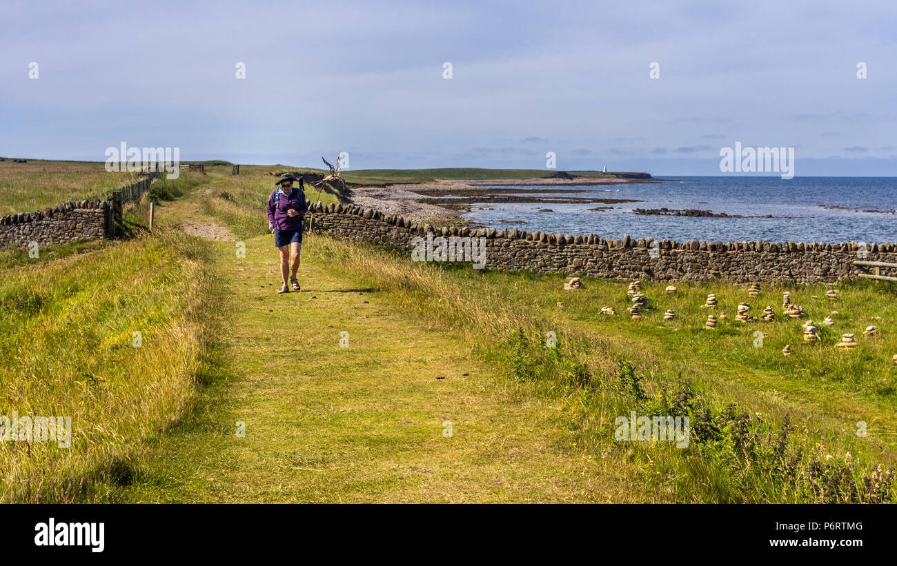 Lone woman hikes on a path on the Holy Island of Lindisfarne, Northumberland, England Stock Photo