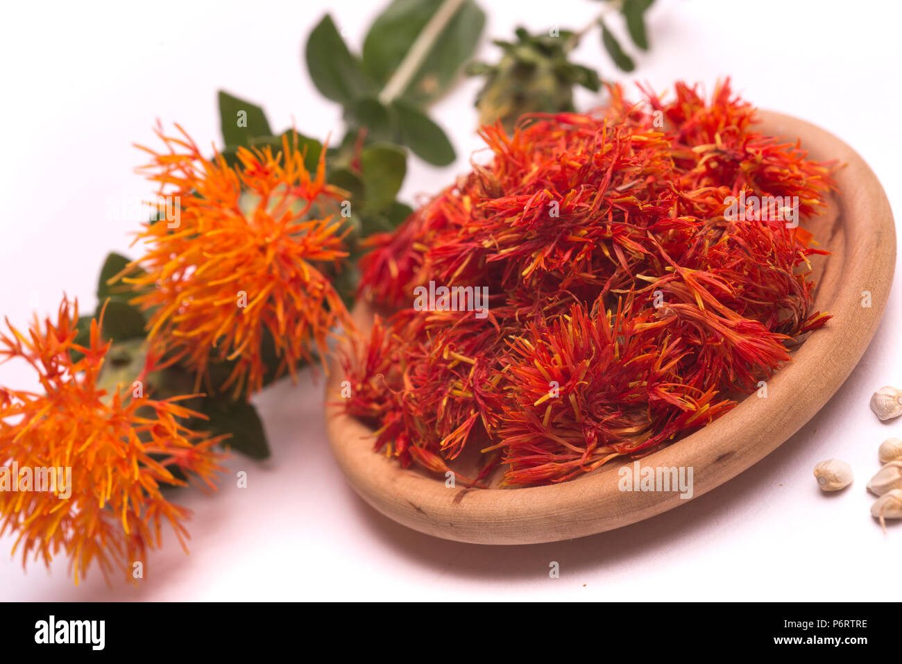 Safflower latin name Carthamus tinctorius or fake saffron on a white