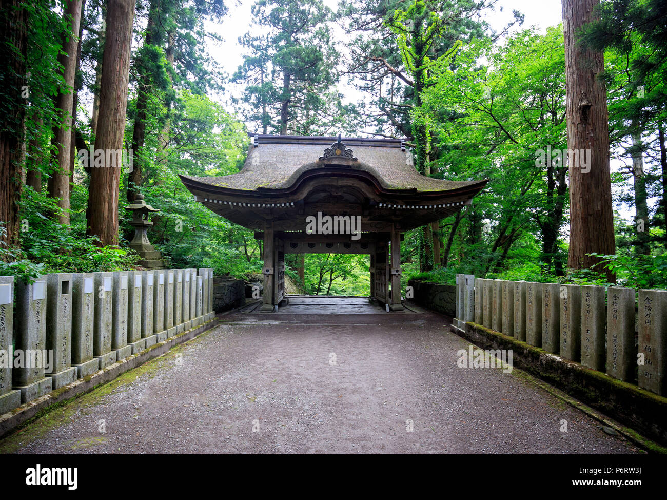 Stone pillars line walkway to Japanese wooden gate in forest Stock ...
