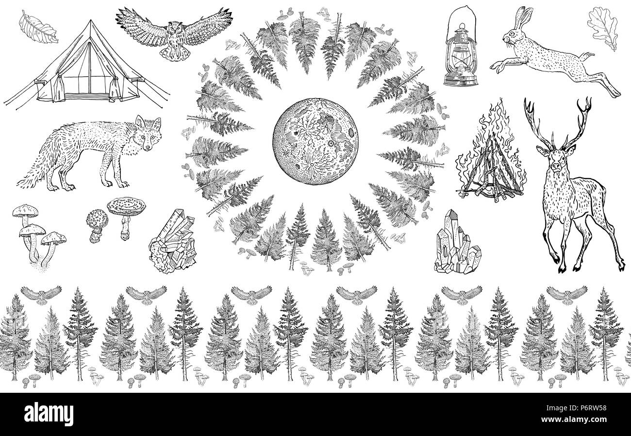 Forest collection: seamless border ornament, round frame, isolated objects. Spruce, fir tree, mushroom, moon, owl, hare, deer, fox, tent, bonfire, camping lamp, crystals. Endless pattern, coloring. Stock Photo