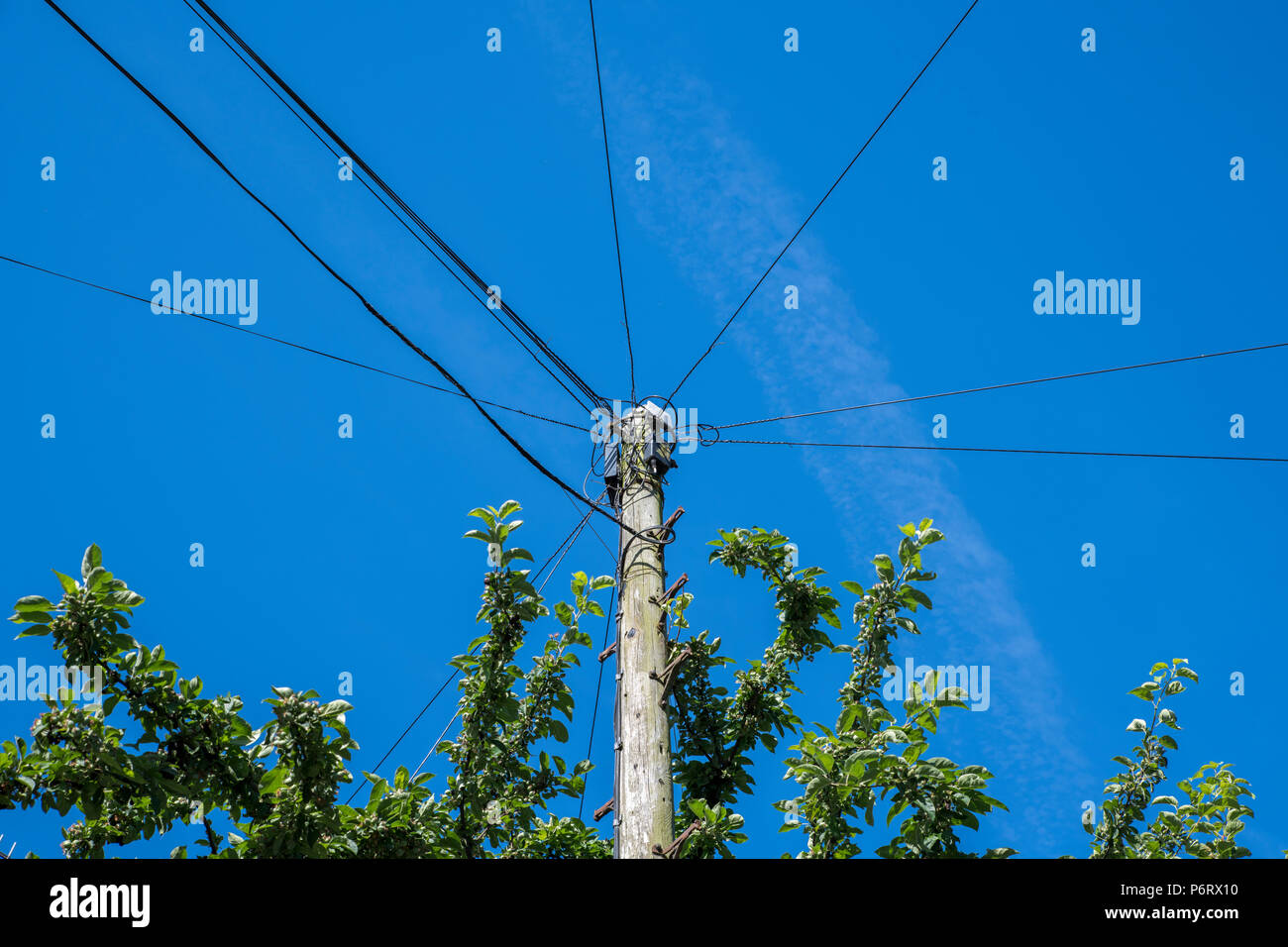 Telecom post with multiple wires Stock Photo