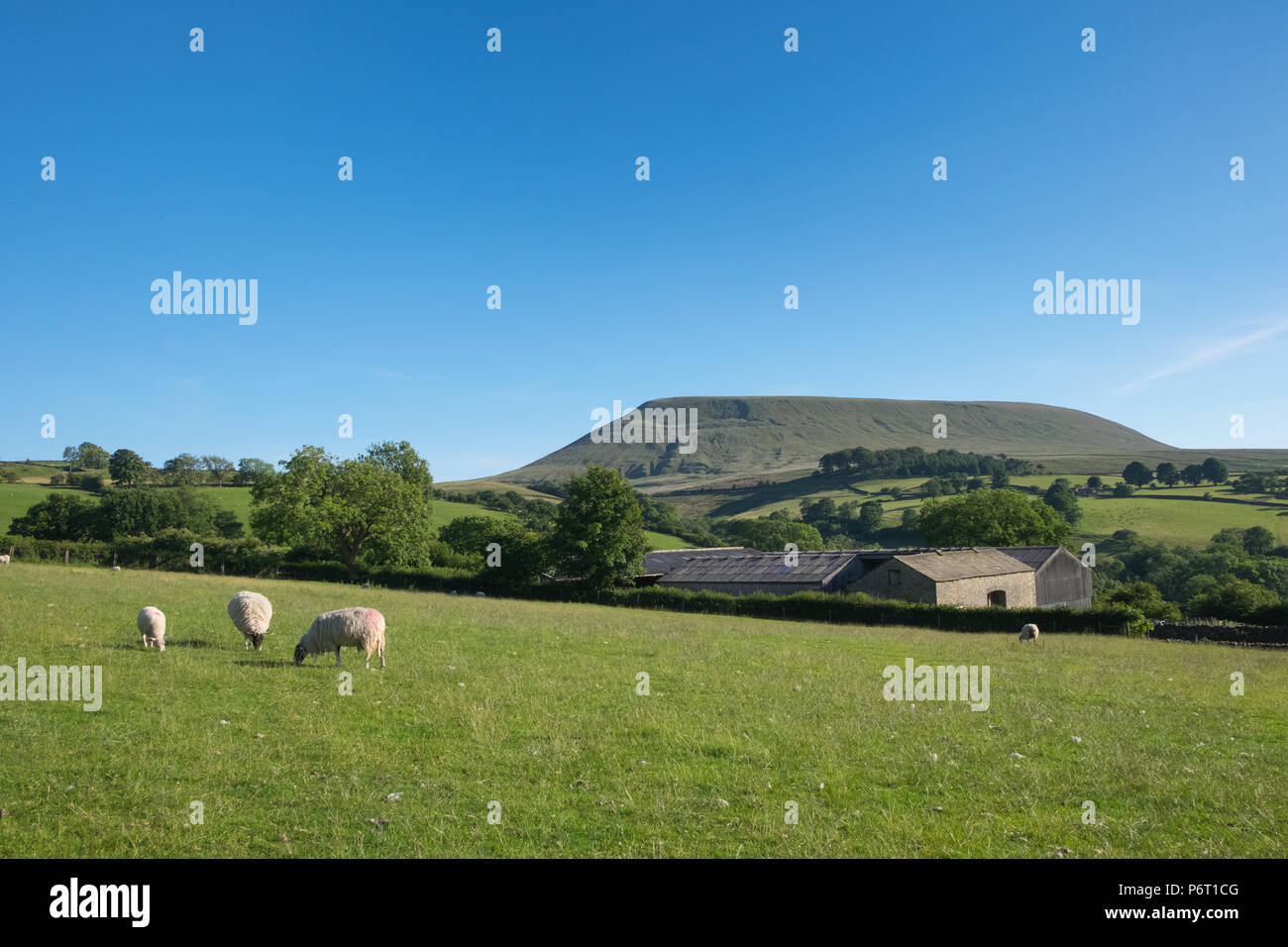Pendle Hill in Lancashire, seen from Twiston. Stock Photo