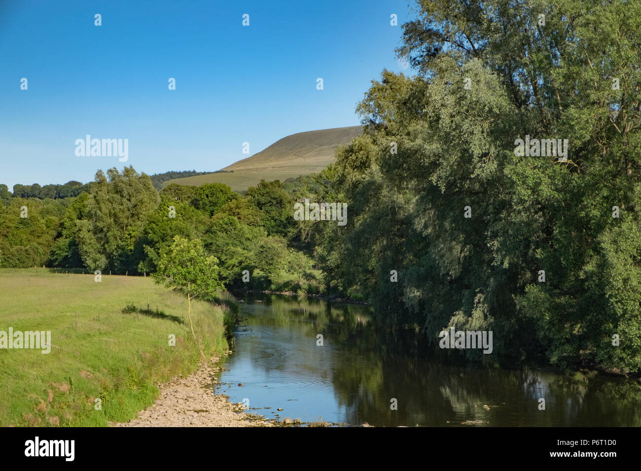 River Ribble near Chatburn with Pendle Hill in background. Stock Photo