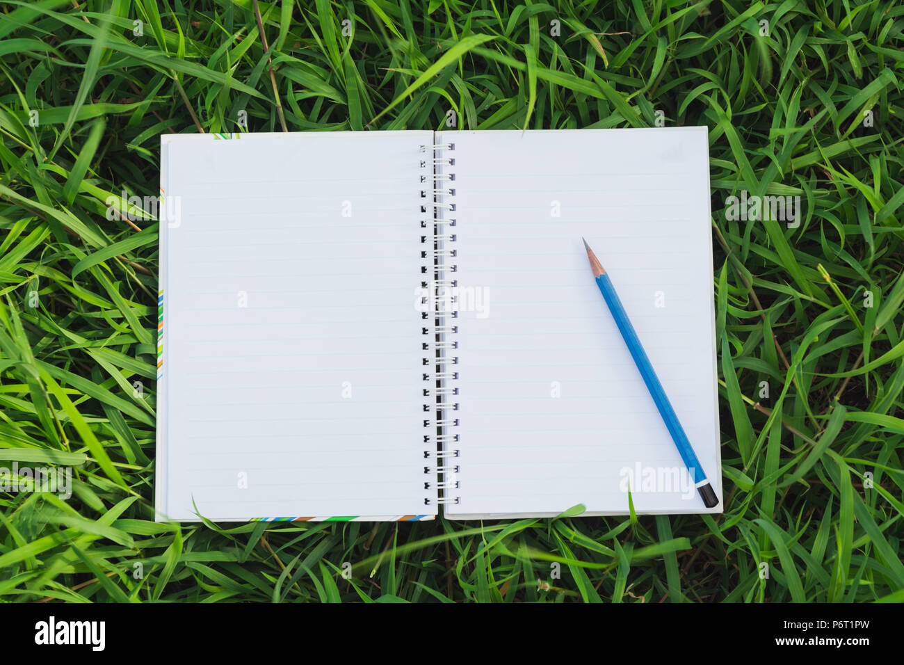Top view of open book. Book open with pencil on grass field background ...